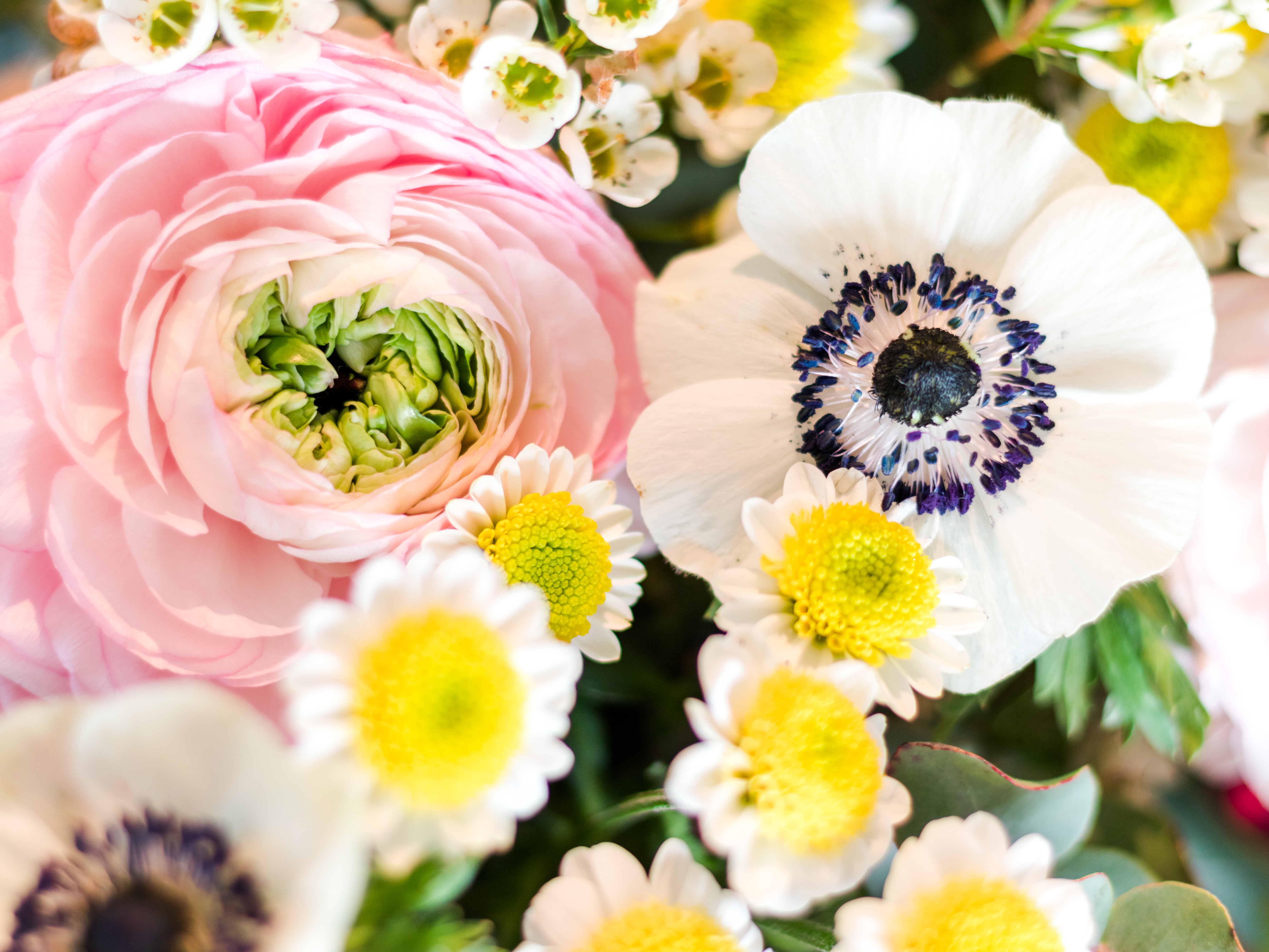 Brooke Ashlee Photography