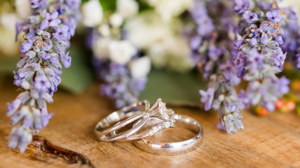 Wedding photographer in Steamboat Springs